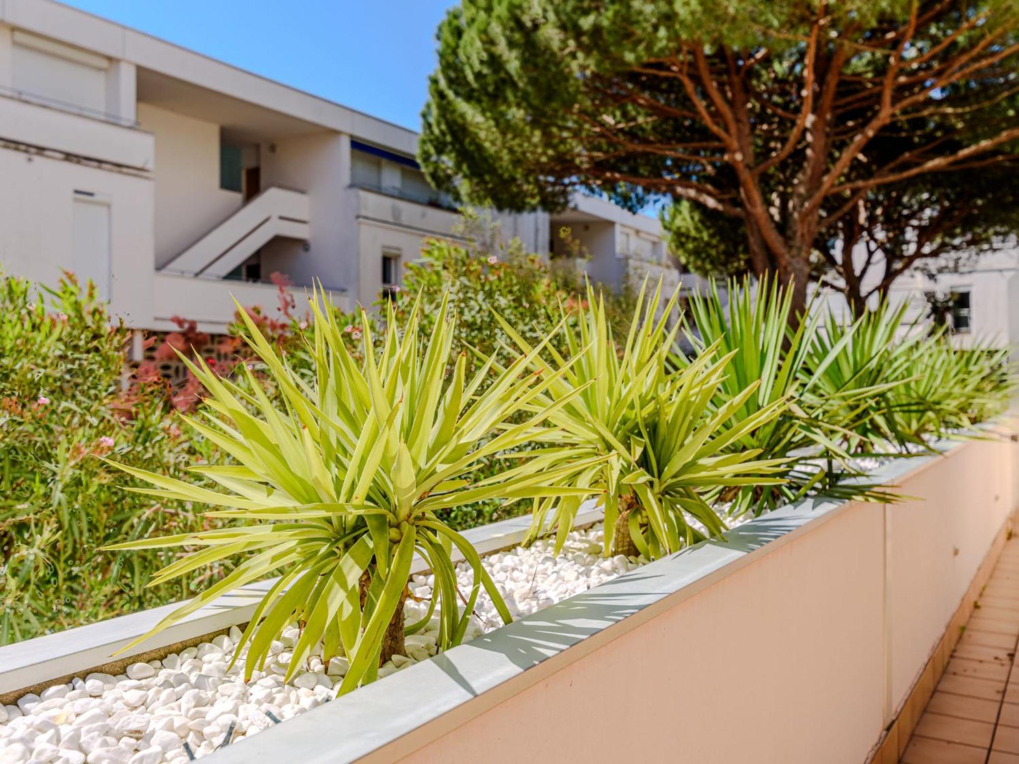 Apartment Antinea-4 By Interhome La Grande Motte Exteriér fotografie